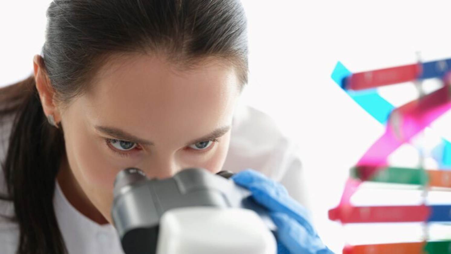microscope