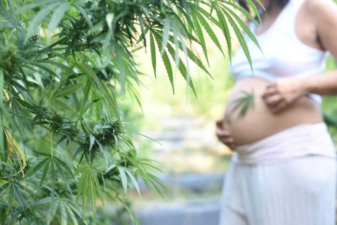 pot baby 26