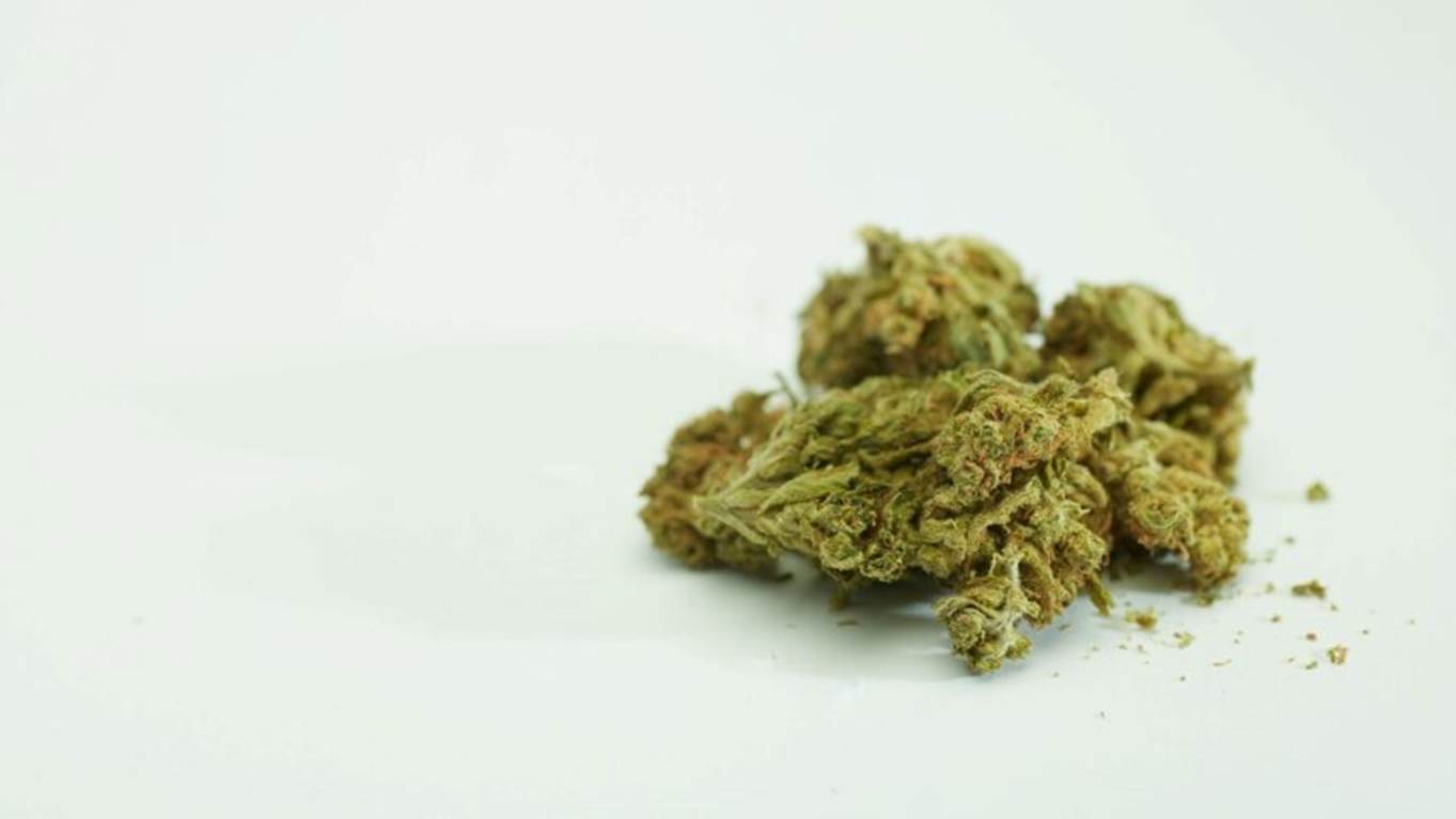 bud05