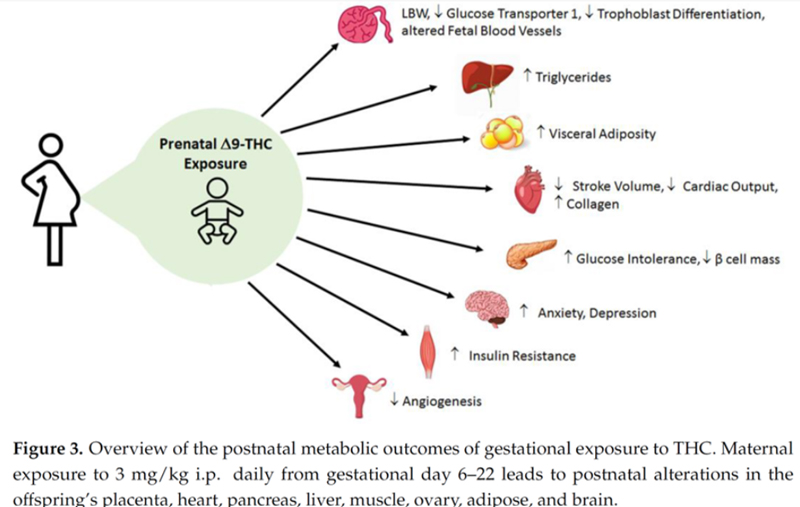 DiagramDescription automatically generated