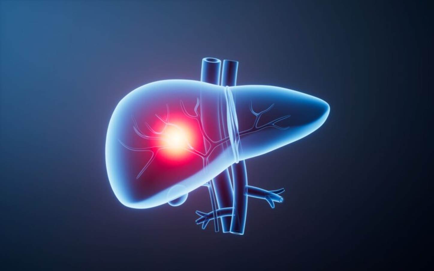 liver